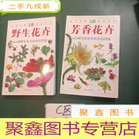 正 九成新芳香花卉:365种野生花卉的彩色图鉴 野生花卉:365种野生花卉的彩色图鉴 合计两本