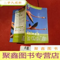 正 九成新Oxford Read and Discover Level 3: Animals in the Air 牛