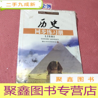 正 九成新历史(含同步练习册)(两校联招考试复习丛书)