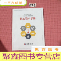正 九成新核心资产手册