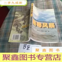 正 九成新南粤风暴