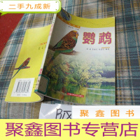 正 九成新鹦鹉——中国名鸟丛书