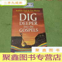 正 九成新DIG DEEPER INTO THE COSPELS