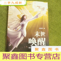 正 九成新末世唤醒