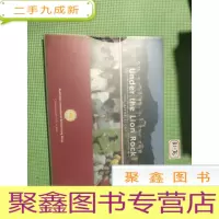 正 九成新under the lion rock