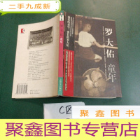 正 九成新童年 罗大佑