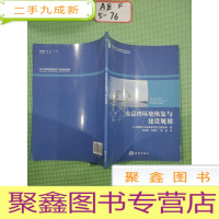 正 九成新东京湾环境恢复与建设规划
