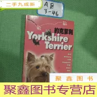 正 九成新约克爹利 YorkshireTerrier