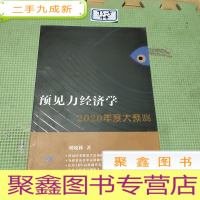 正 九成新预见力经济学2020年度大预测 刘晓林.著