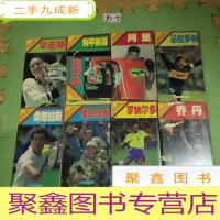 正 九成新体育明星系列:乔丹、罗纳尔多、维伦纽夫、桑普拉斯、马拉多纳、阿里、利平斯基、舒马赫、辛吉斯(共9本合售)