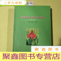 正 九成新青海玛可河种子植物(16开 内有大量彩色图版)
