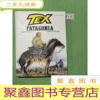 正 九成新TEX Patagonia