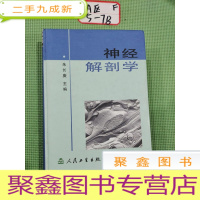 正 九成新神经解剖学