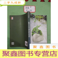 正 九成新中国公共艺术与景观:购物中心艺术主题公园时代的来临