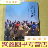 正 九成新驼乡欢歌