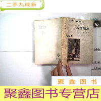 正 九成新小扬州志