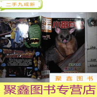 正 九成新野生动物画报小哥白尼2012 11.