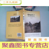 正 九成新骆驼祥子 ...