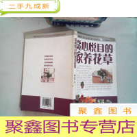 正 九成新赏心悦目的家养花草
