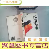 正 九成新文化产业论