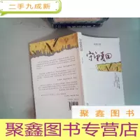 正 九成新守望麦田