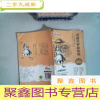 正 九成新爱丽丝梦游仙境