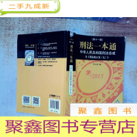 正 九成新刑法一本通:中华人民共和国刑法总成(第十一版)(含刑法修正案九)