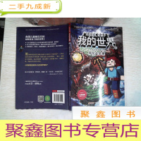 正 九成新我的世界·冒险故事图画书2.寻找金苹果