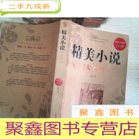 正 九成新精美小说大全集(白金版)