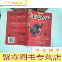 正 九成新隐形冠军 小器之王 书脊破损,有水迹