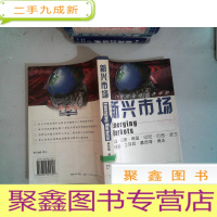 正 九成新21世纪全球经济中的新兴市场