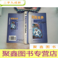 正 九成新细胞培养 里面开裂