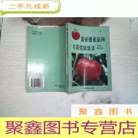 正 九成新番茄品种与高效栽培法