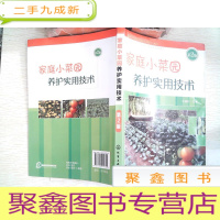 正 九成新家庭小菜园养护实用技术(第二版)