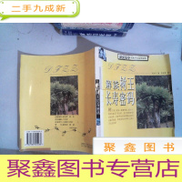 正 九成新解读树王长寿密码