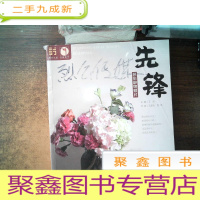 正 九成新先锋(色彩静物照片)