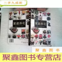 正 九成新家庭养花