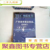 正 九成新广州蓝皮书:广州青年就业创业发展报告(2020)