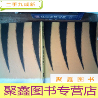 正 九成新PETER BROWN MR. TIGER GOES WILD