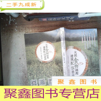 正 九成新天然食物调理健康配伍指南--生活中的清、补、运调理法则