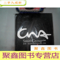 正 九成新思纳·史密斯中国实践(2004-2006)