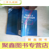 正 九成新马克思主义政治经济学原理