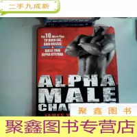 正 九成新ALPHA MALE CHALLENGEA