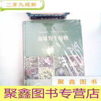 正 九成新南雄野生植物