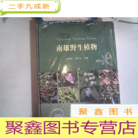 正 九成新南雄野生植物