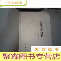 正 九成新梅州文化通史