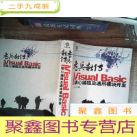 正 九成新老兵新传:Visual Basic核心编程及通用模块开发