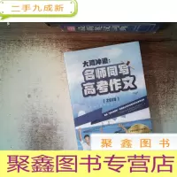 正 九成新大湾冲浪 名师同写高考作文 2019