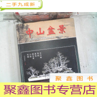 正 九成新中山盆景