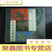 正 九成新上海龙华盆景